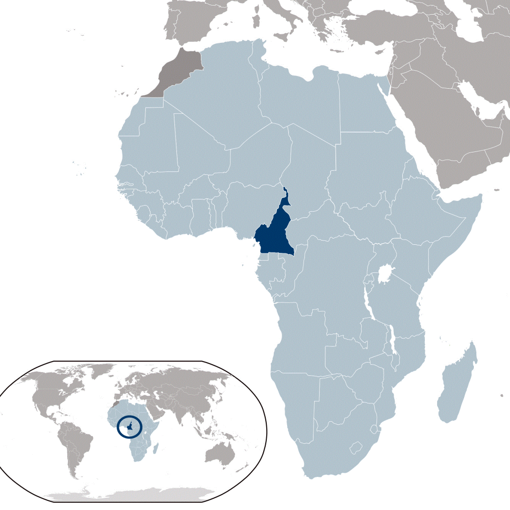 Location-Cameroun-qjprh99c4bdnut5z50c7d05w27xmwll07pgu6l5n2o