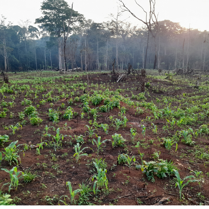 Driving change: from 70 hectares to 5,000 with your support.